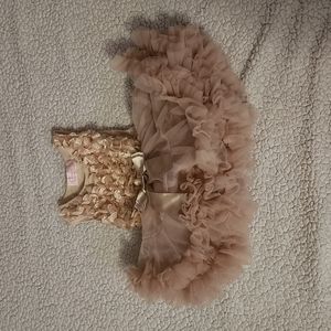 Champagne tutu 12m baby girl dress